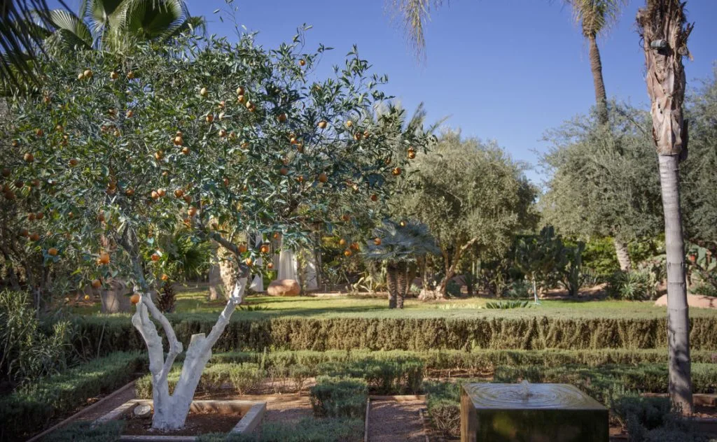 Villa Dar Ha