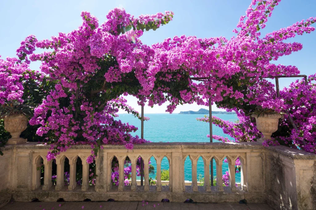 Isola del garda