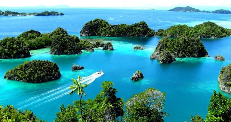 Raja Ampat Tripadvisor