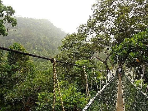 Taman Nagara Tripadvisor