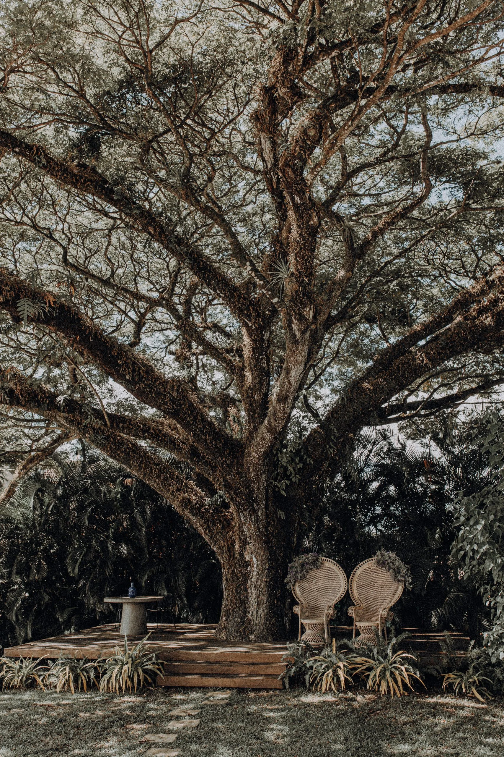 231202 Mariage villa Apolline Martinique 148