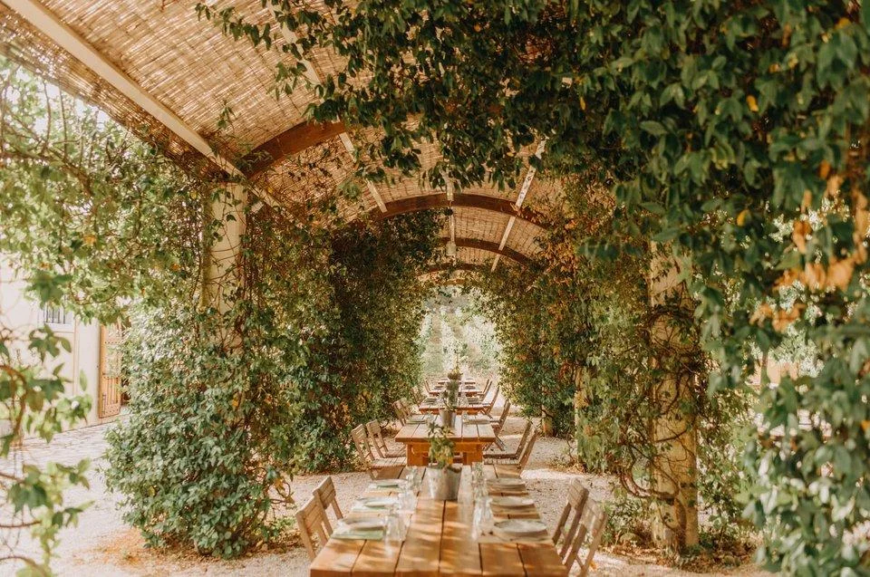 Ambelonas Corfu domaine et vignoble pour un mariage à Corfou