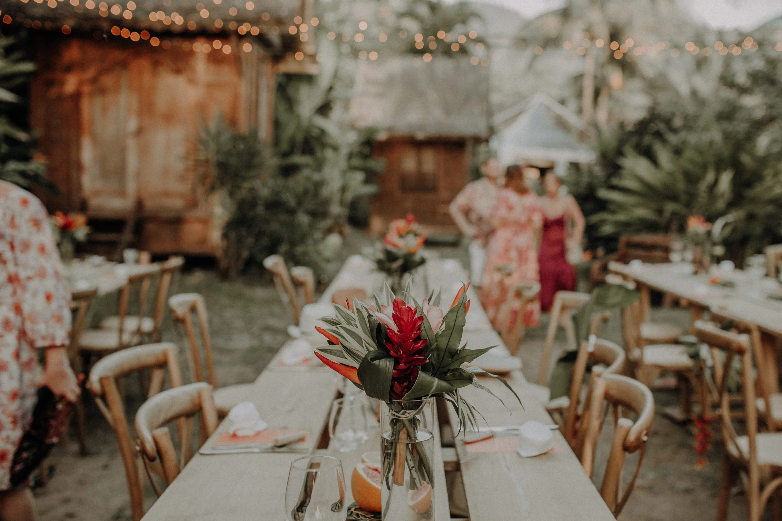 230505 Photographe Guadeloupe 402