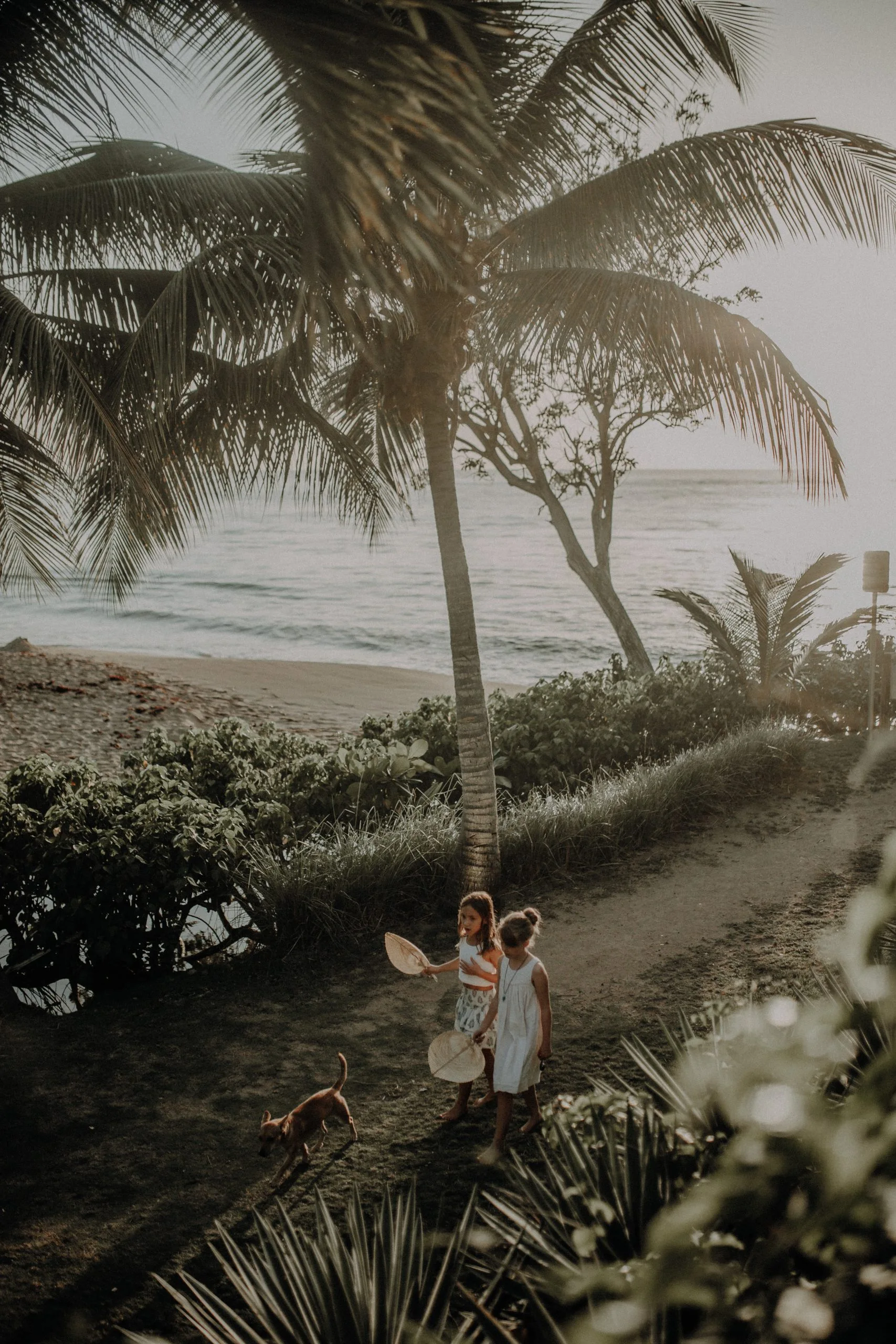 230505 Photographe Guadeloupe 414