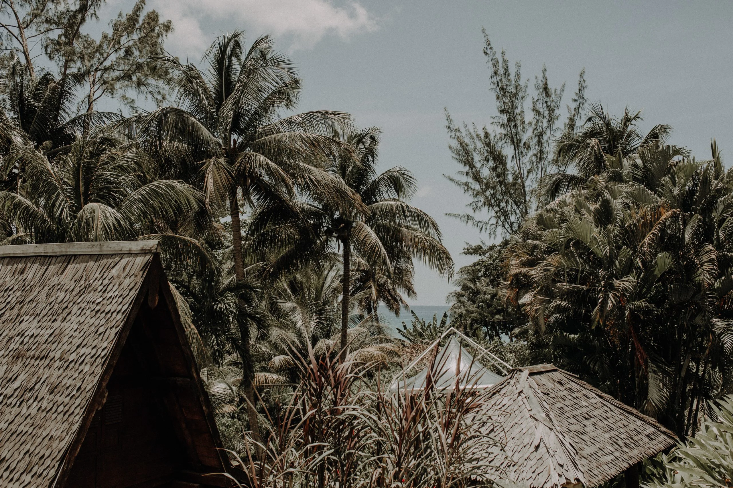 230505 Photographe Guadeloupe 63