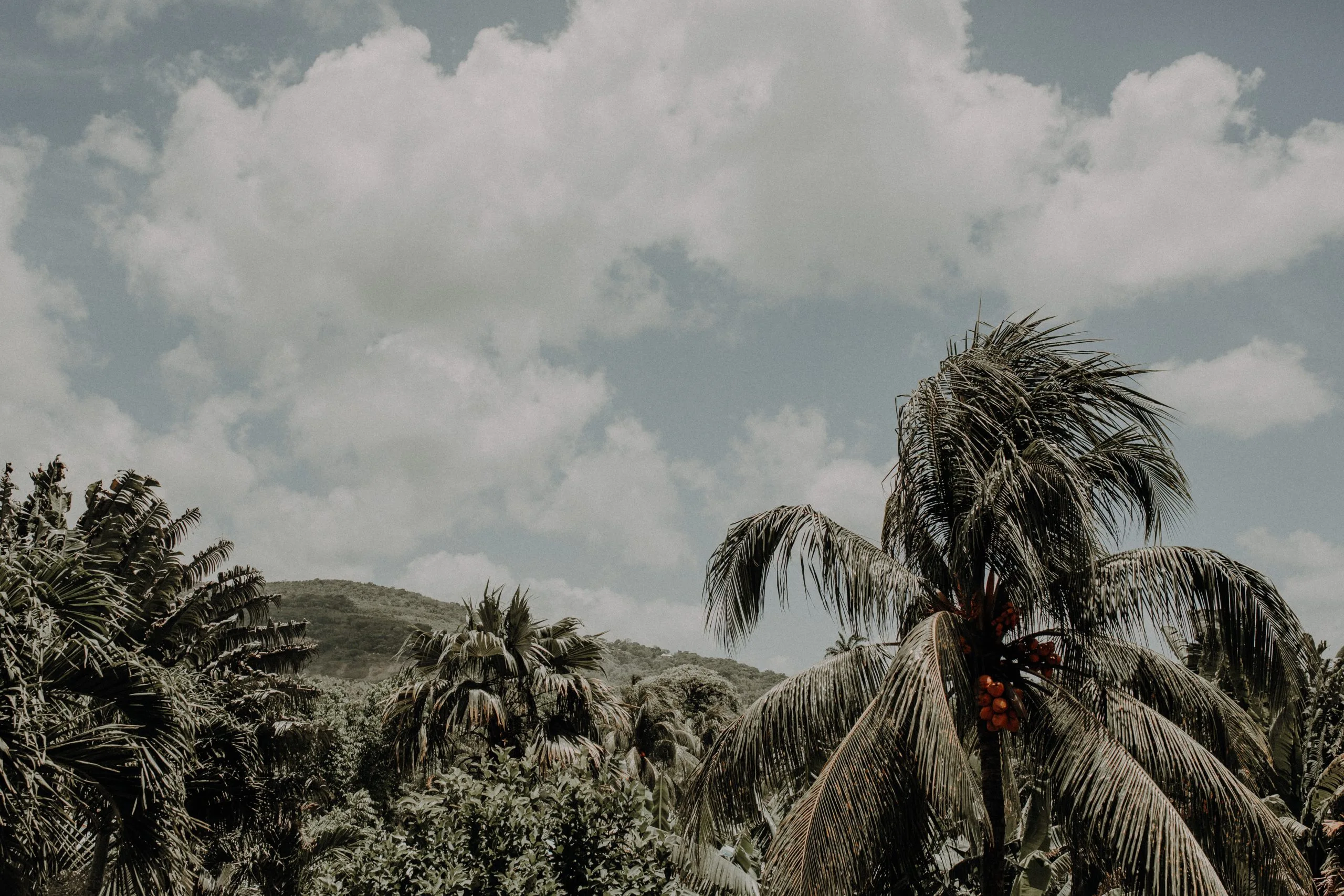 230505 Photographe Guadeloupe 65