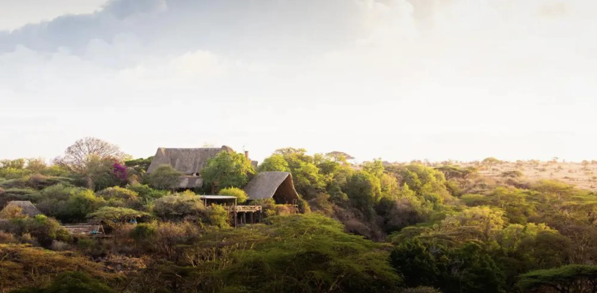 Lewa Wilderness