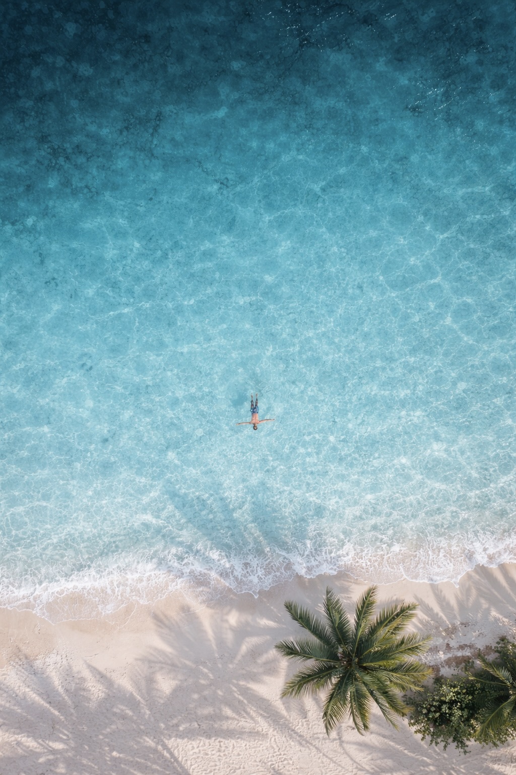 ChatGPT Image 30 janv. 2026, 22 10 54